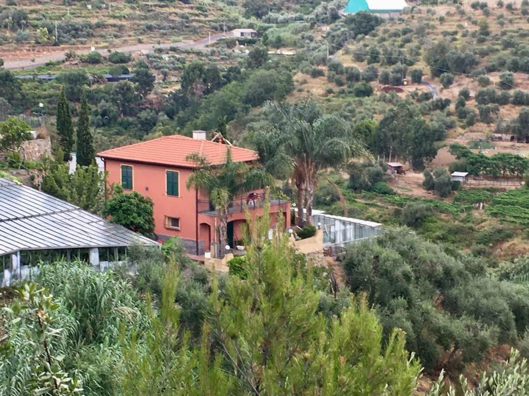 La Casa Del Podere Castellaro  Extérieur photo